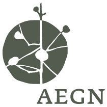 Gray logo of a sphere bisected vertically. White lines radiate outward. The letters 