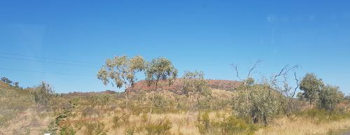 Blue sky over dry landscape with sparse trees and shrubs.
