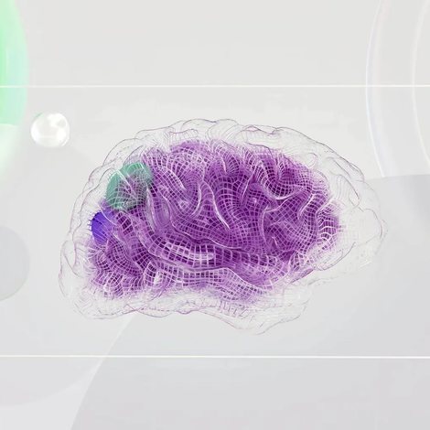 Illustration of neural pathways in the brain