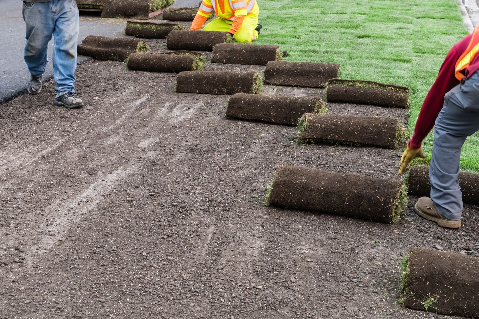 Workers laying rolls of sod on a dirt path beside a grassy lawn