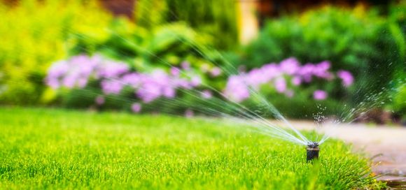 Lawn sprinkler watering bright green grass with flowers in the background