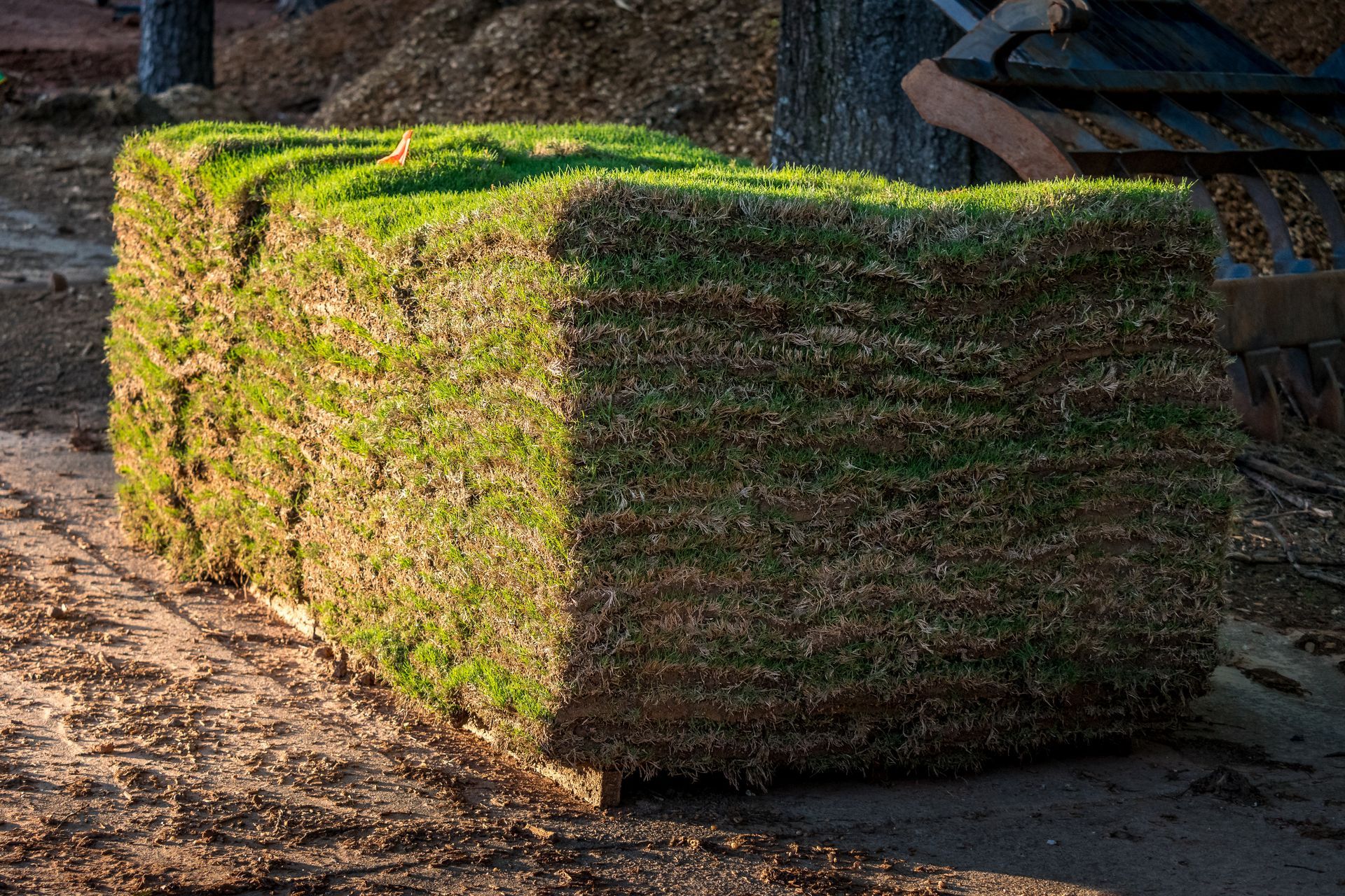 Stacked sod rolls in a dirt yard, with green grass tops and brown soil sides, lit by sunlight.