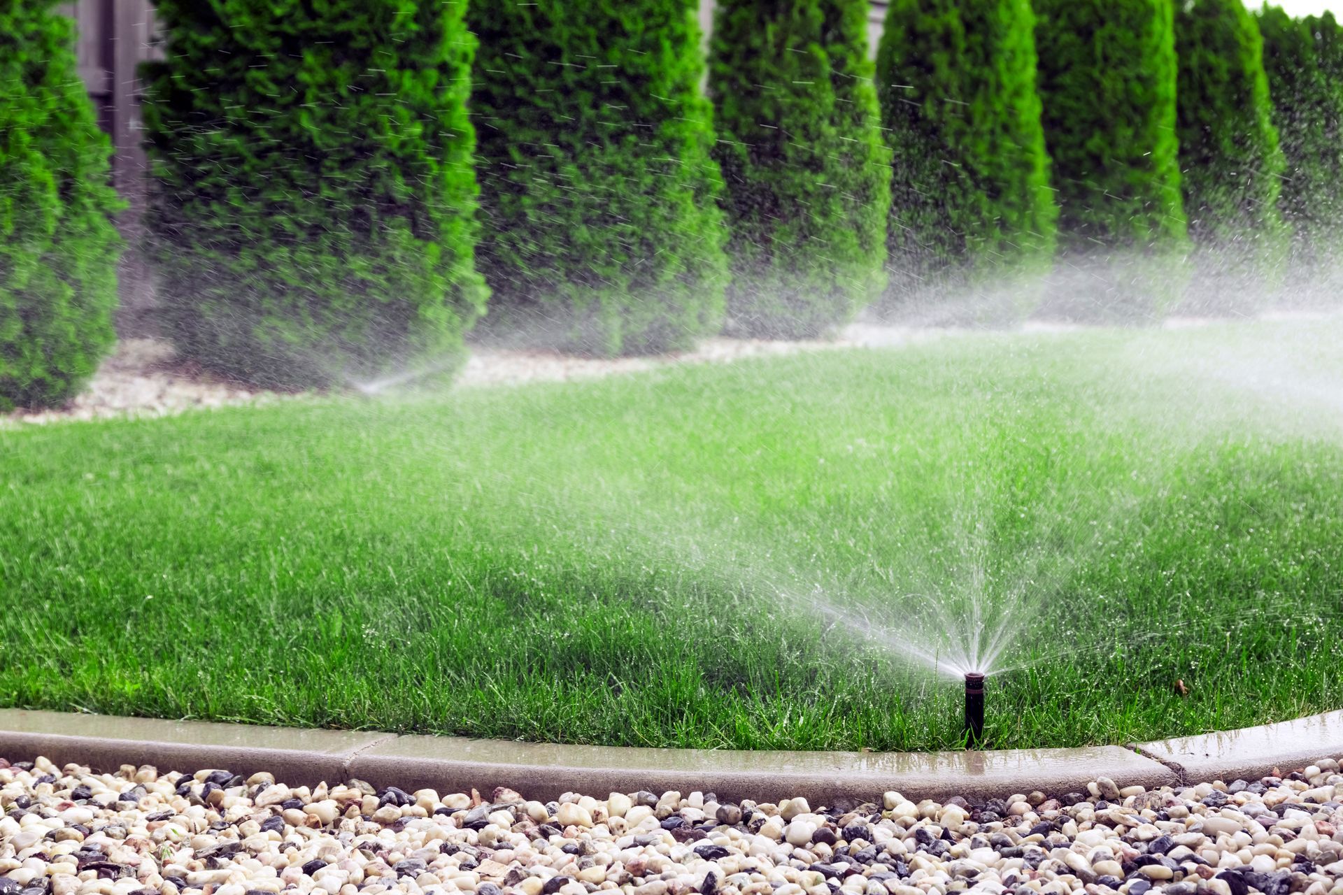 Sprinkler watering a green lawn beside a hedge and stone border