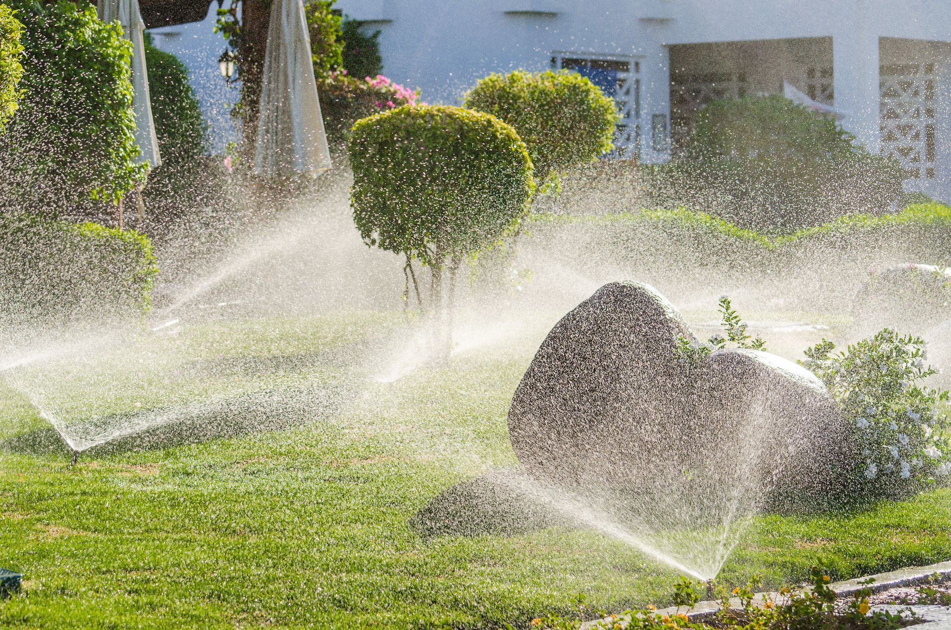 Sprinklers watering a green lawn with rocks and trimmed shrubs in a sunny yard