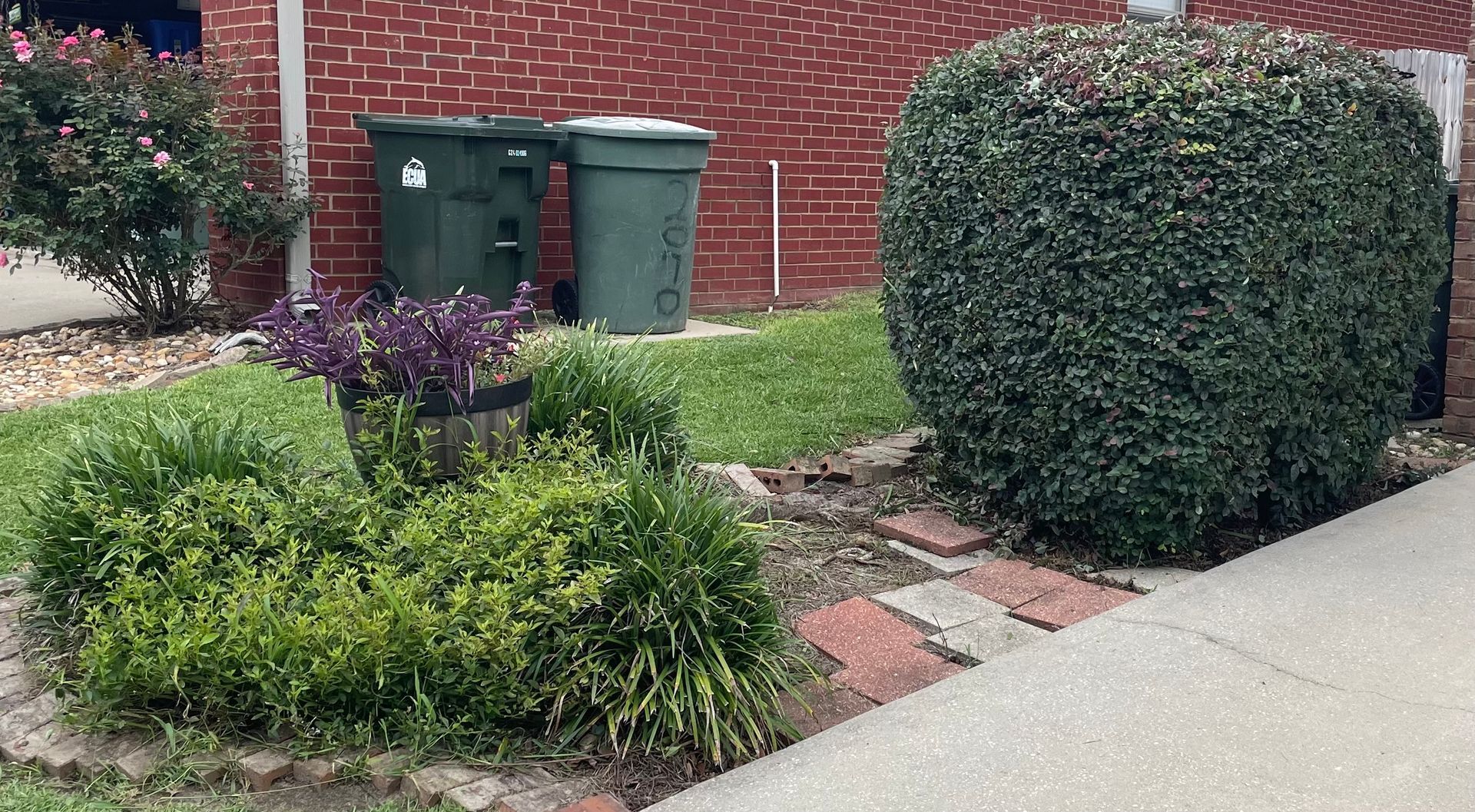 Front yard with trimmed shrubs, mulch, and two green trash bins beside a brick wall and sidewalk