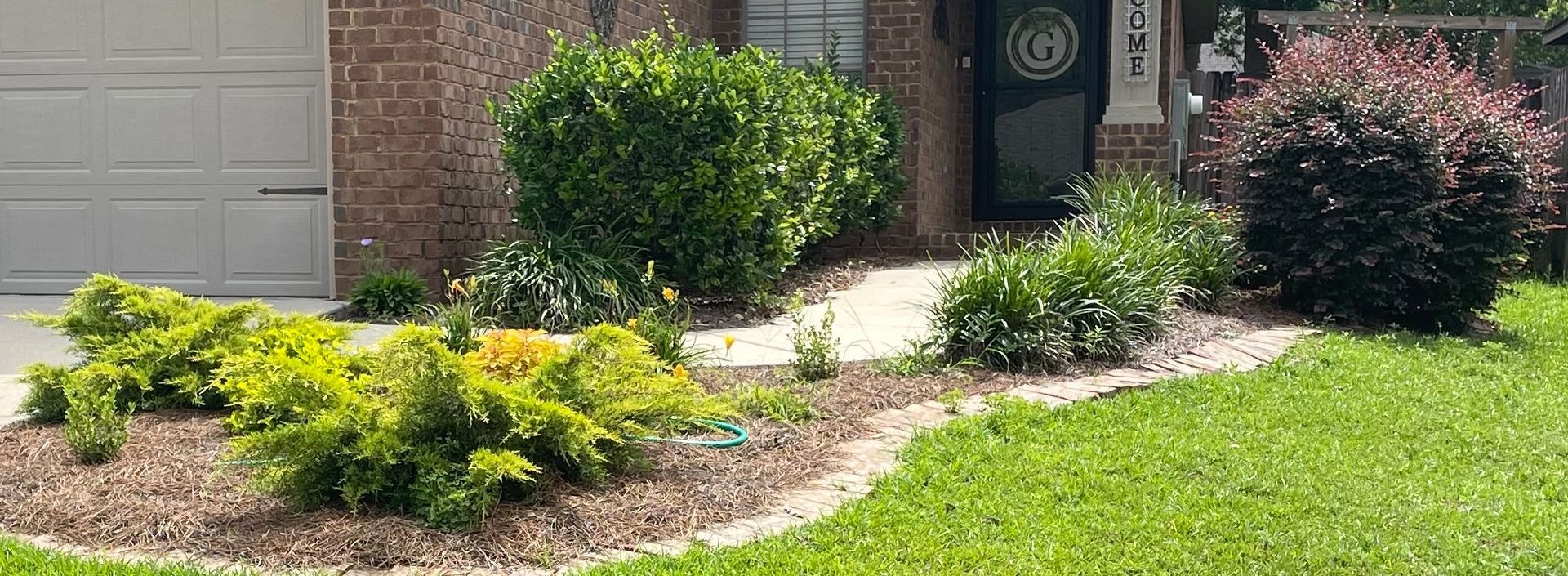 Front yard garden bed with yellow flowers, shrubs, and mulch beside a brick house and driveway