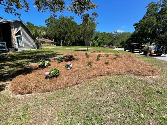 Freshly mulched garden bed with small flowering plants in a sunny yard near a house