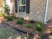 Brick house exterior with black shutters and small landscaped shrubs along a mulch bed