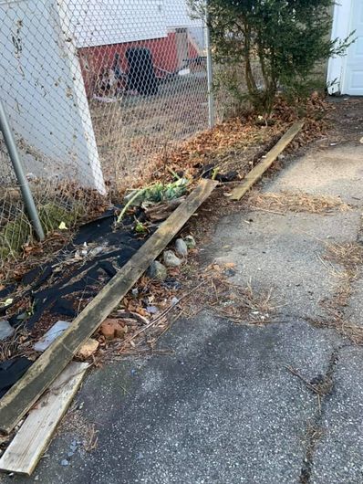 yard debris removal services near me in salem ma