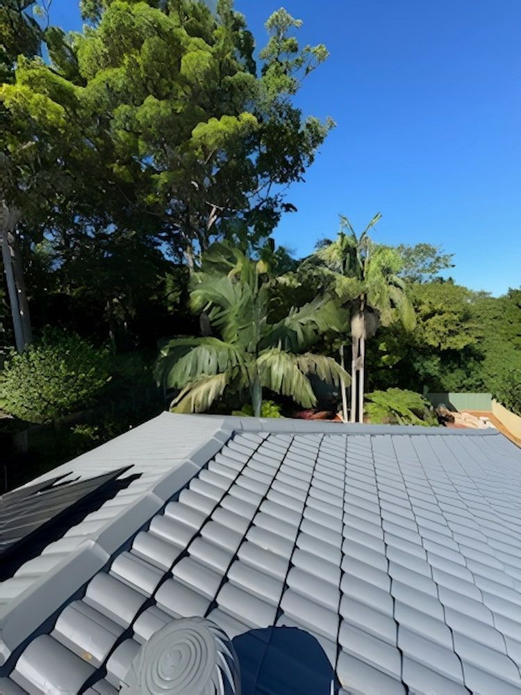Freshly Painted Tiled Roof With Trees Behind — Cornall Painting Services in Wauchope, NSW