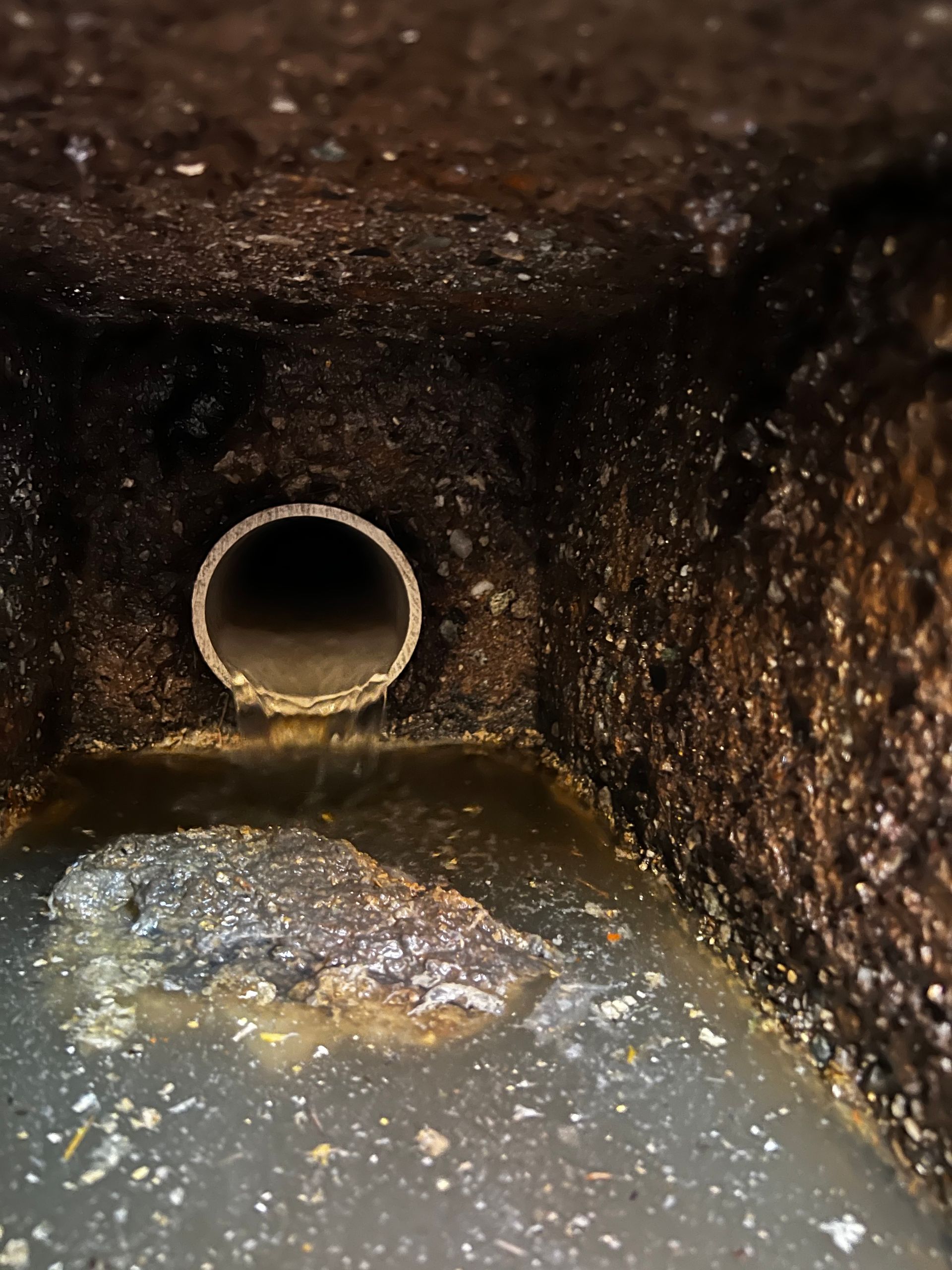 Inside of a dirty, square drain, with a pipe visible; dark liquid and debris present.