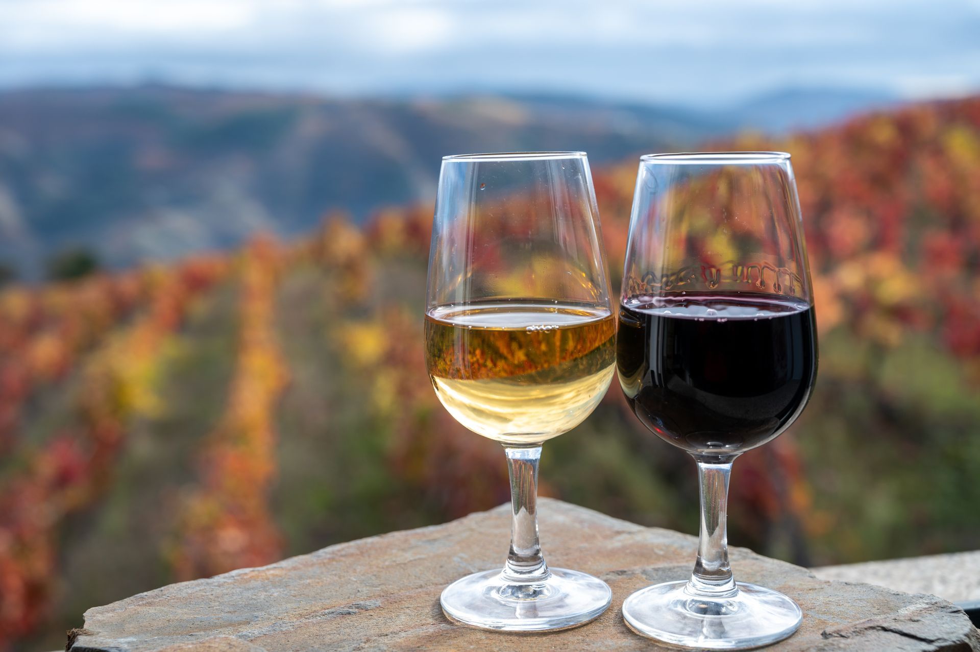 Two wine glasses, one white and one red, with vineyard landscape background.