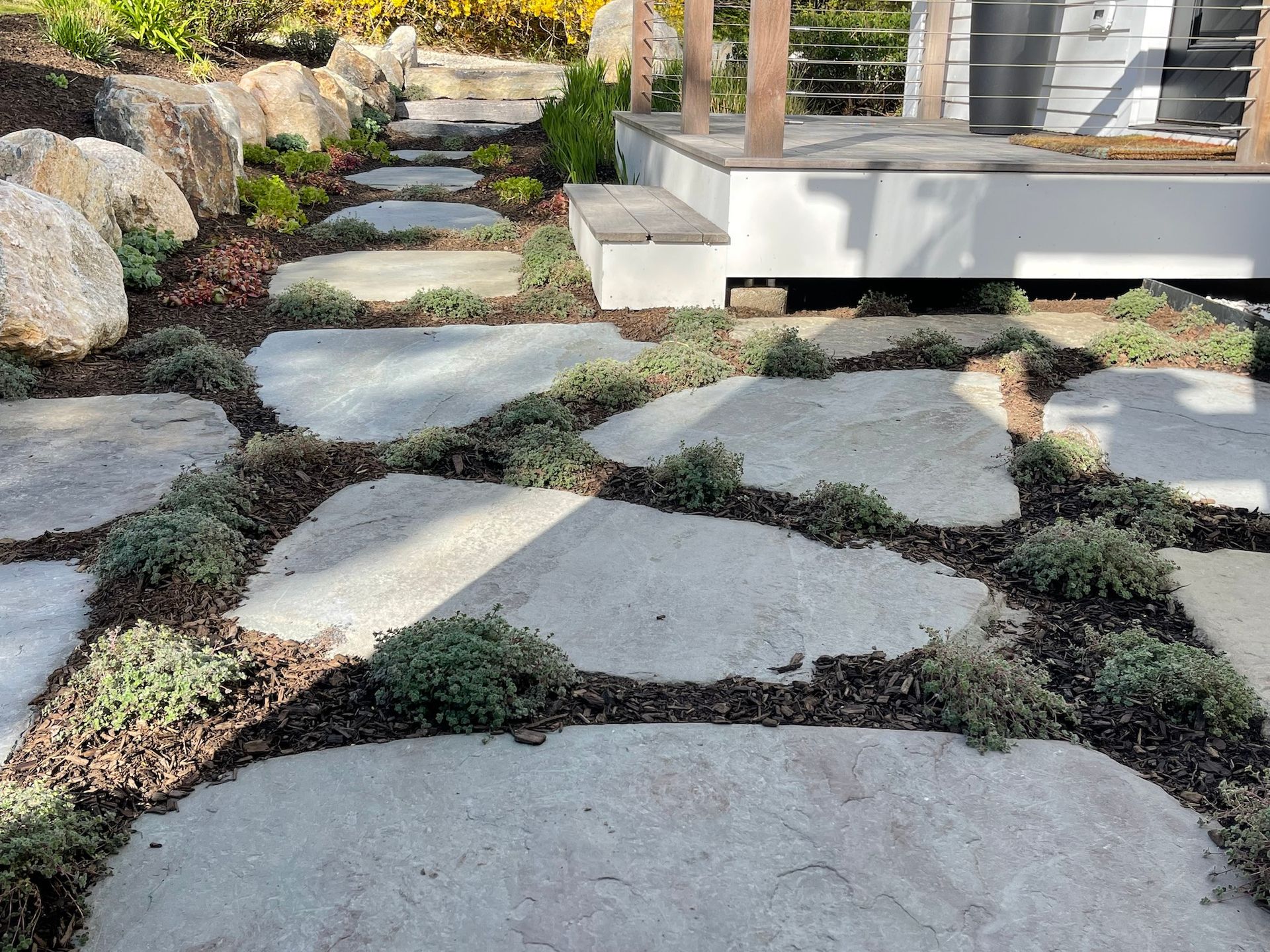 A stone walkway leading to a house with rocks and plants