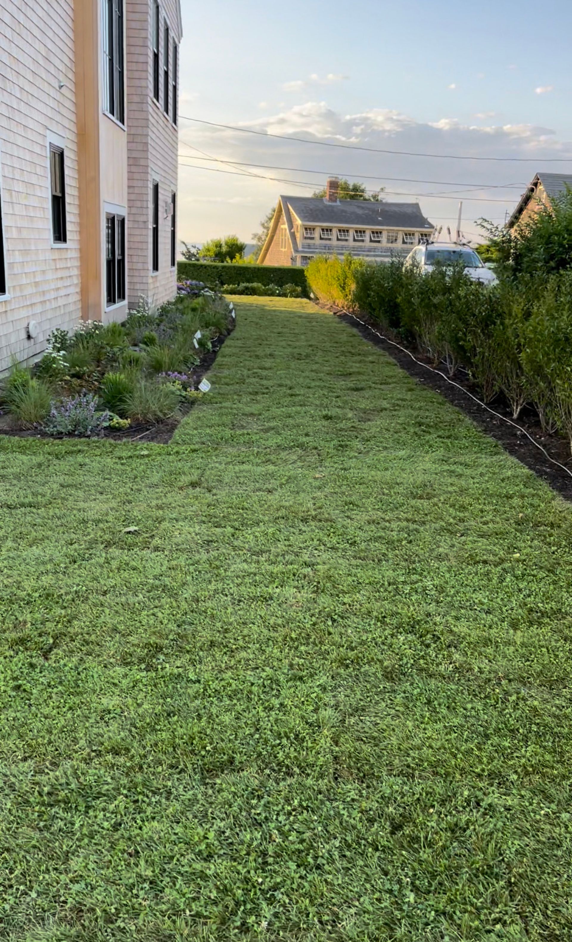 A lush green lawn in front of a brick building.