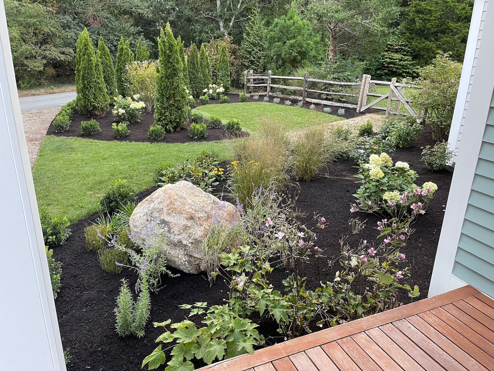 A lush green yard with a fence and trees in the background.