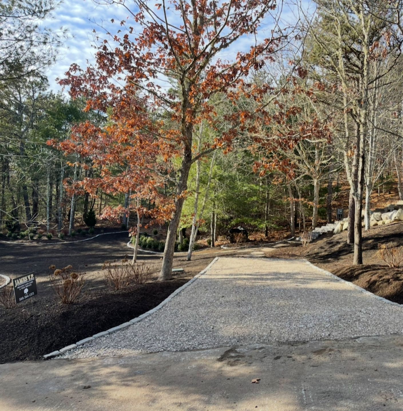 A concrete walkway leading to a forest with trees on both sides.