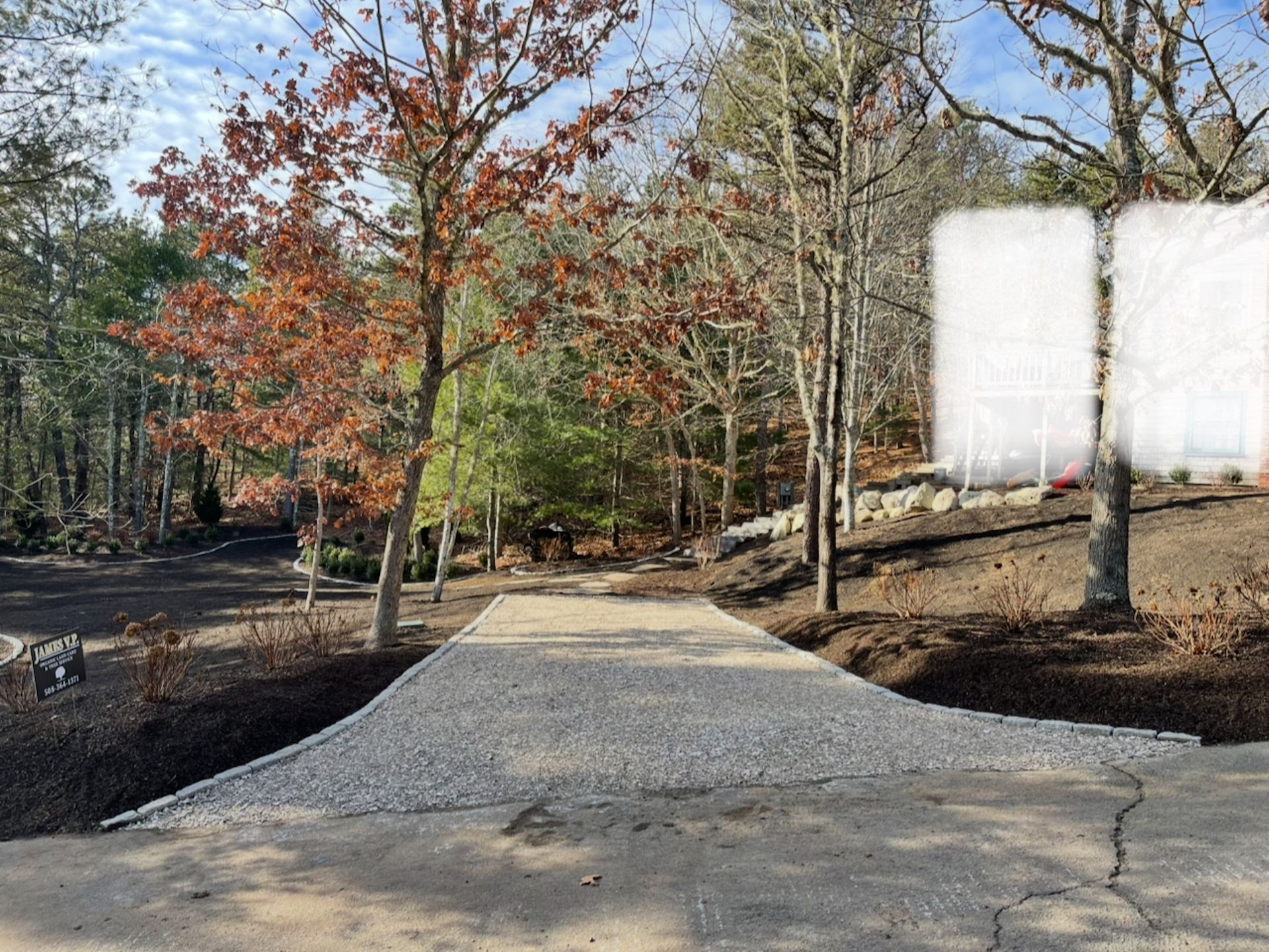 A concrete walkway leading to a forest with trees on both sides.