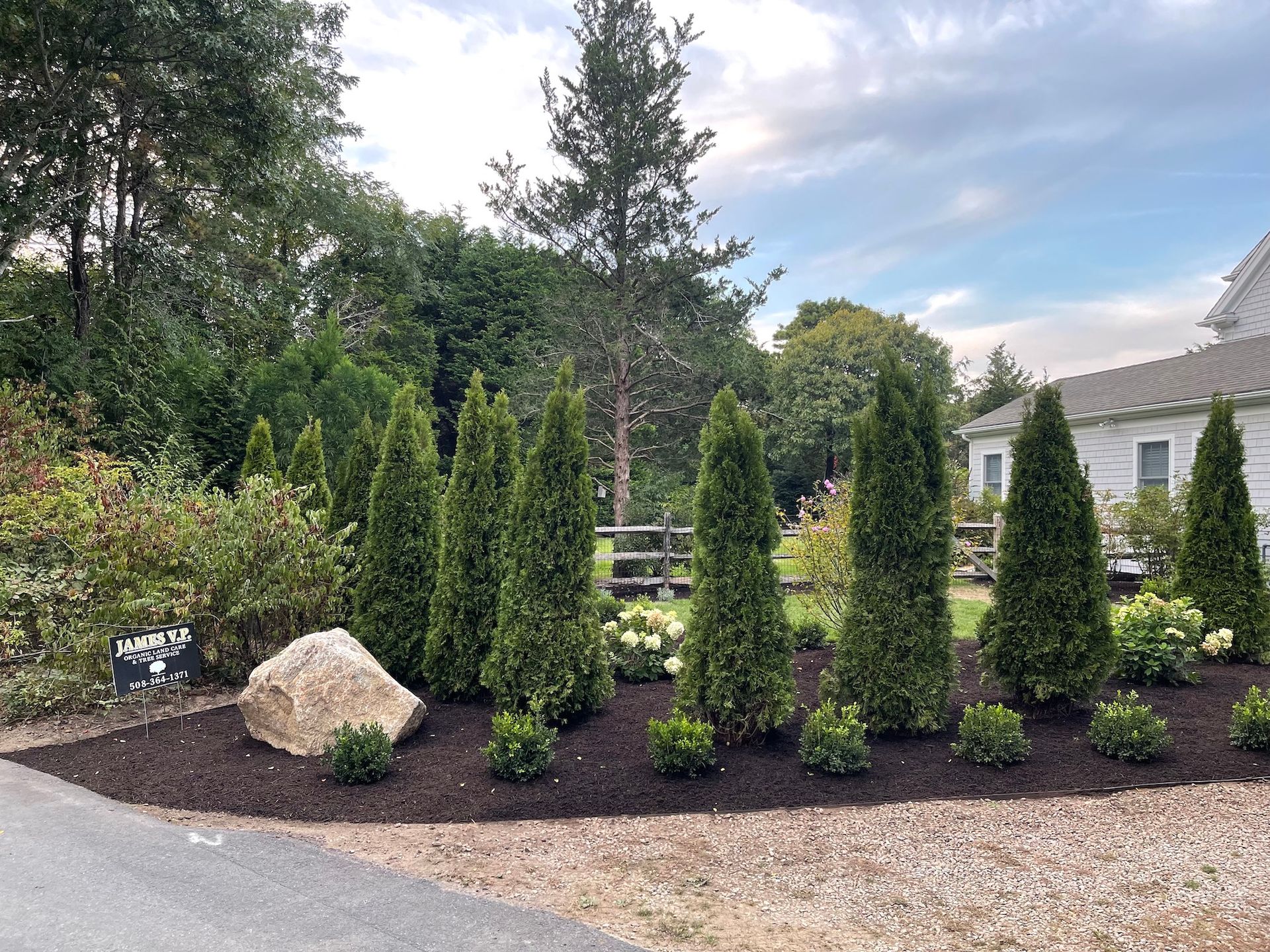 A row of trees in a garden next to a house.