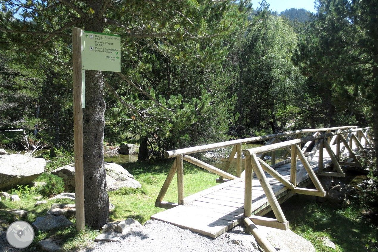 Pont de fusta sobre un rierol en un bosc, amb un senyal de sender a l'esquerra.