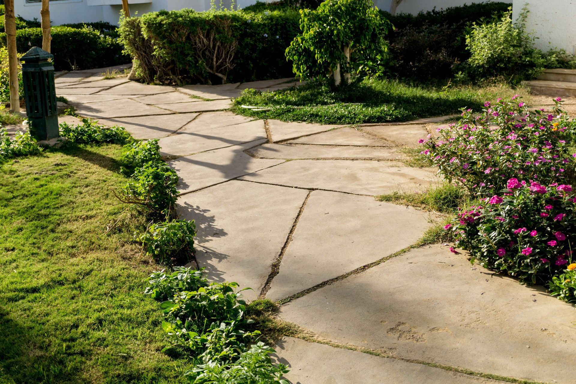 Flowers growing by a paver pathway