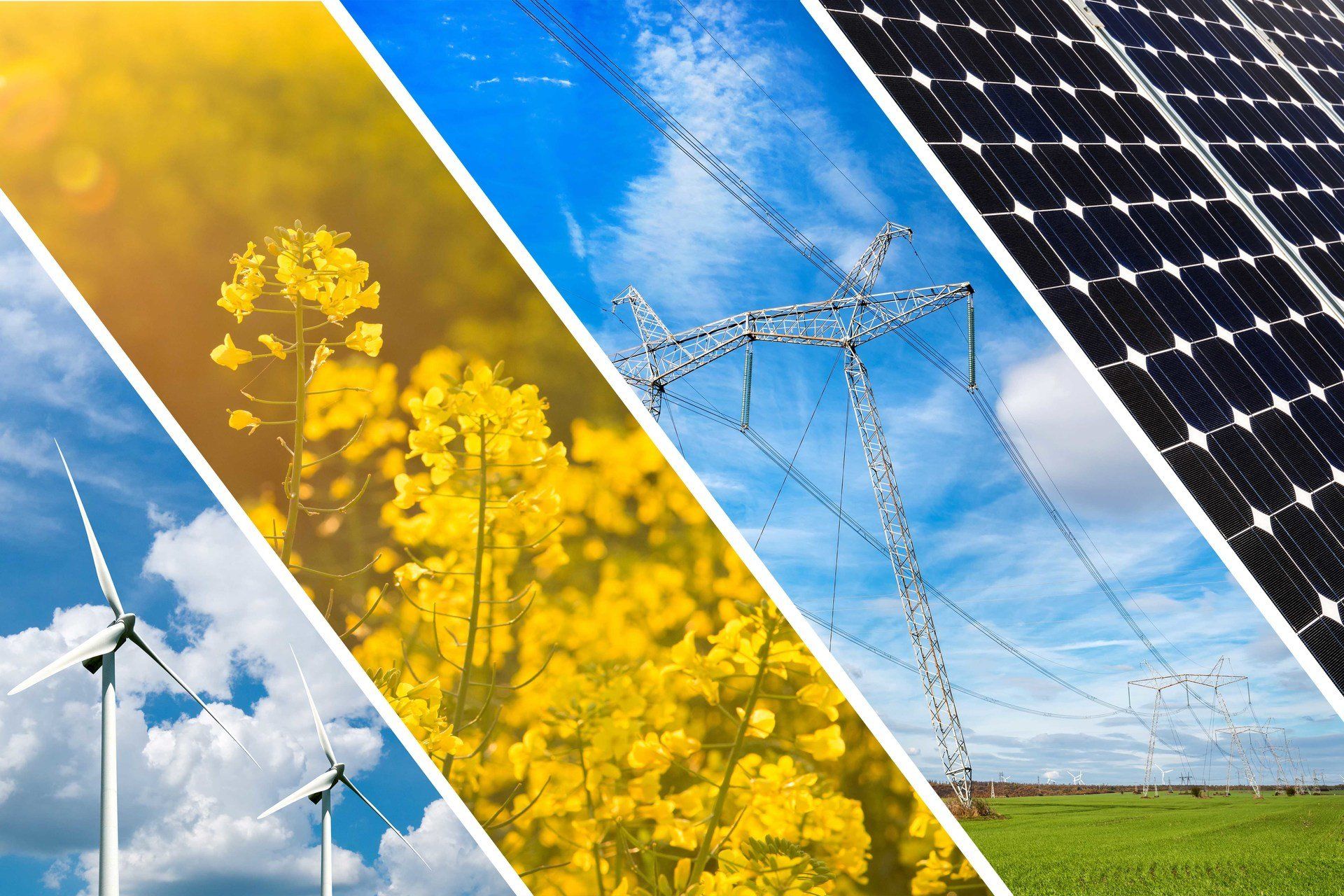 immagine a rappresentare l'energia rinnovabile.