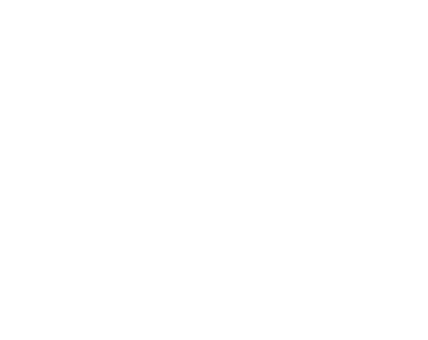 diamond data spot on reserve icon
