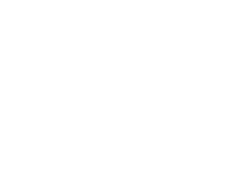 diamond data spot on loyalty icon
