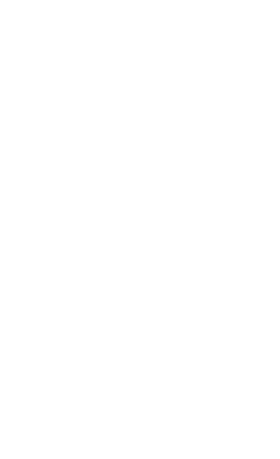 diamond data spot on handheld icons