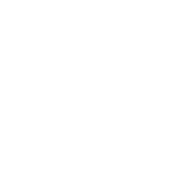 diamond data spot on qr code