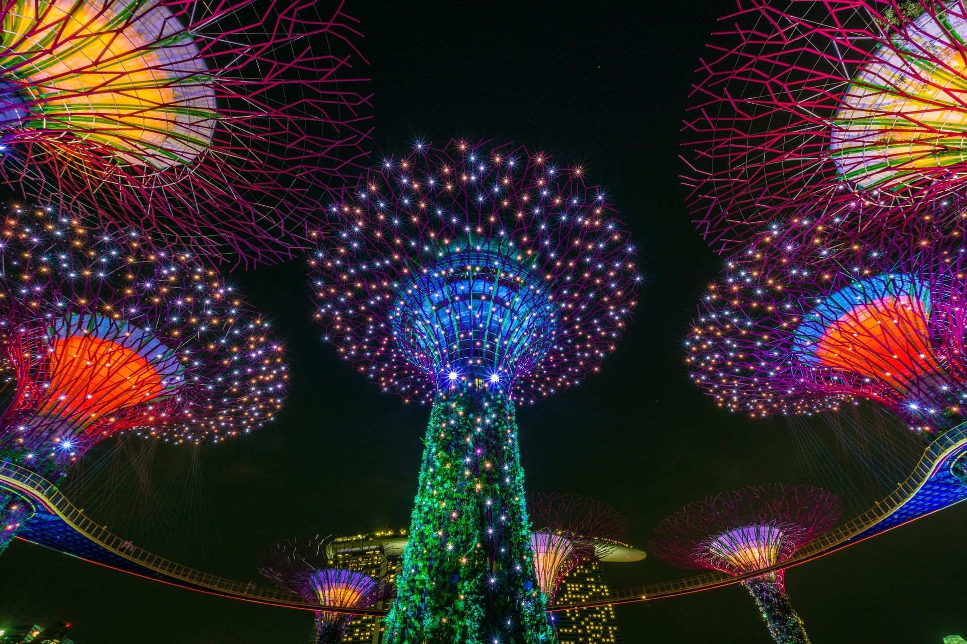 Night view of colorful illuminated Supertrees in Gardens by the Bay, Singapore.