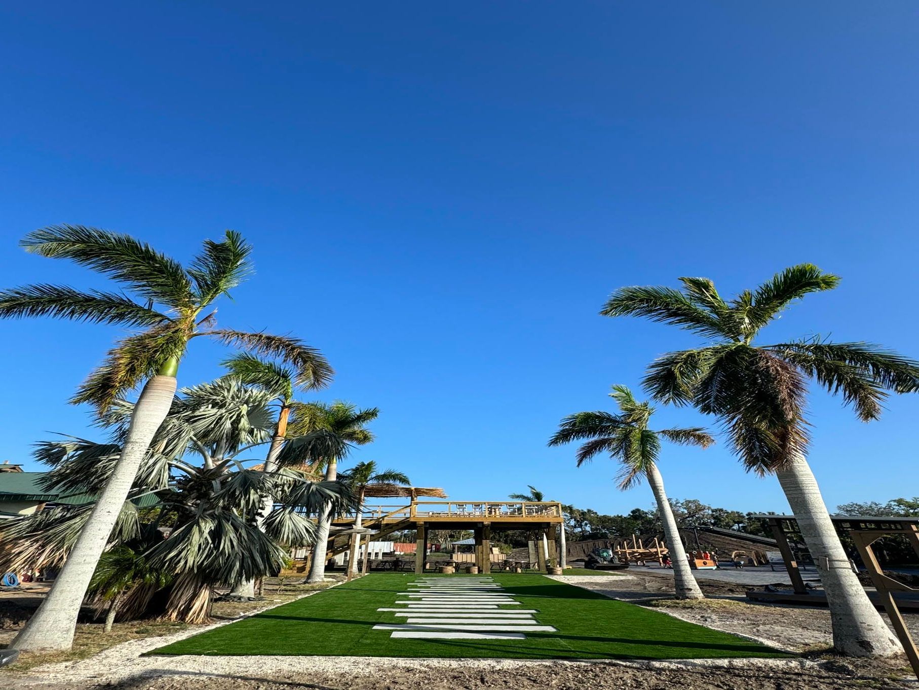 Palm-lined resort walkway leading to a beachfront building under a clear blue sky