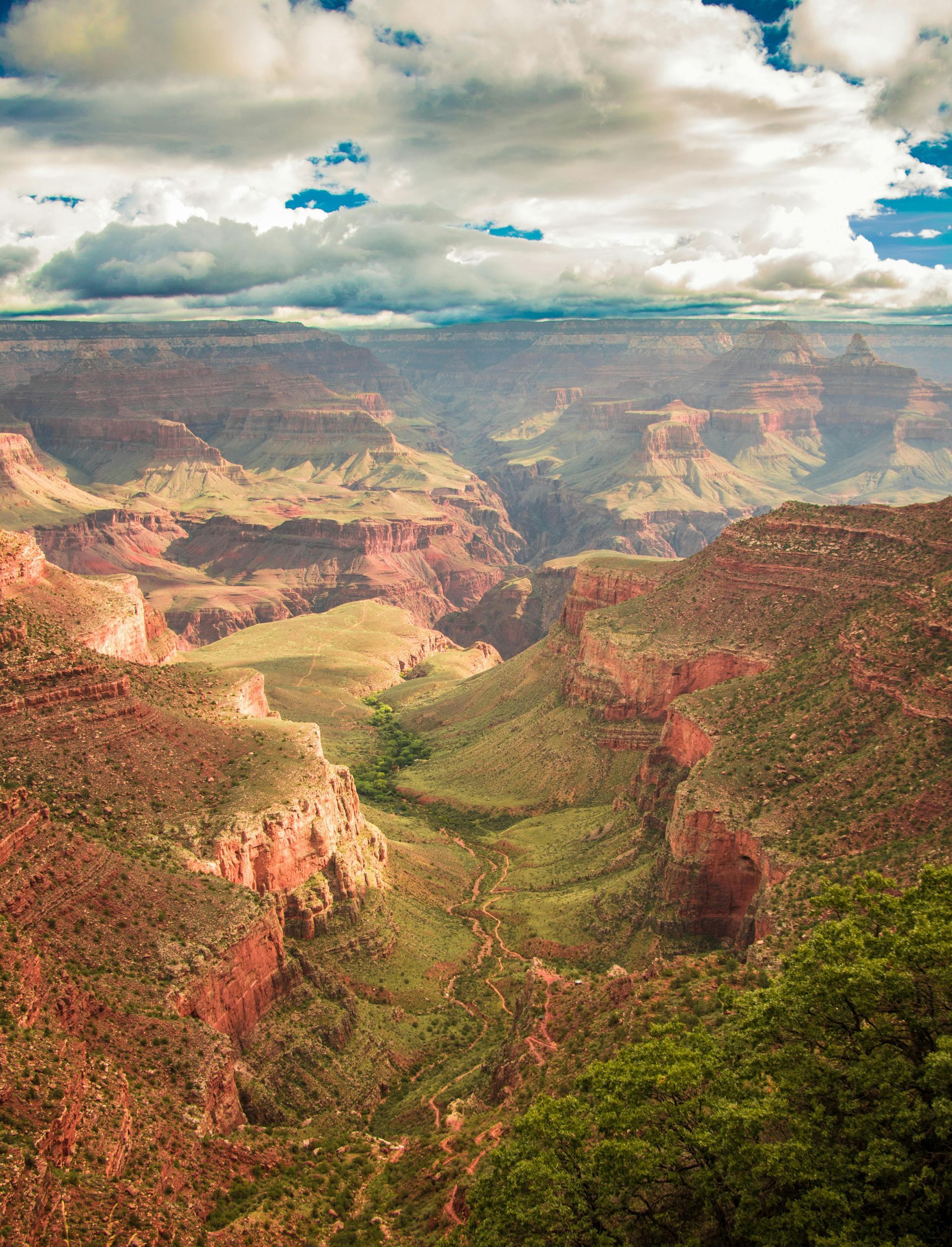 Grand Canyon vista with layered red rock formations under a cloudy sky. Green vegetation visible on the canyon floor.