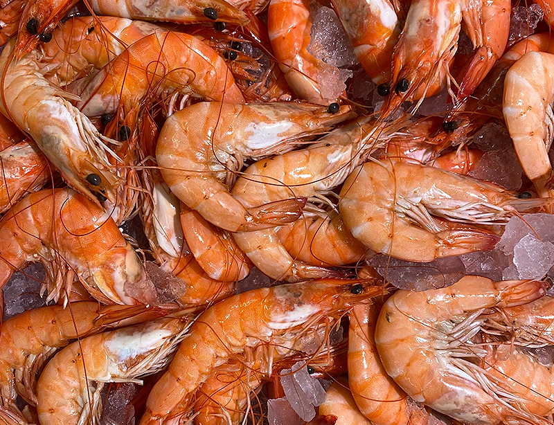supplier of seafood and special products