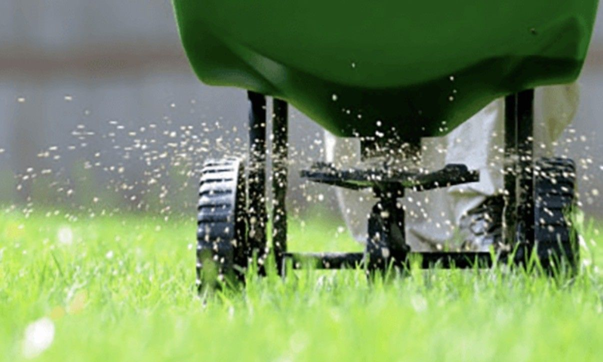 A person in green and black work clothes pushes a red lawn spreader over a grass lawn.
