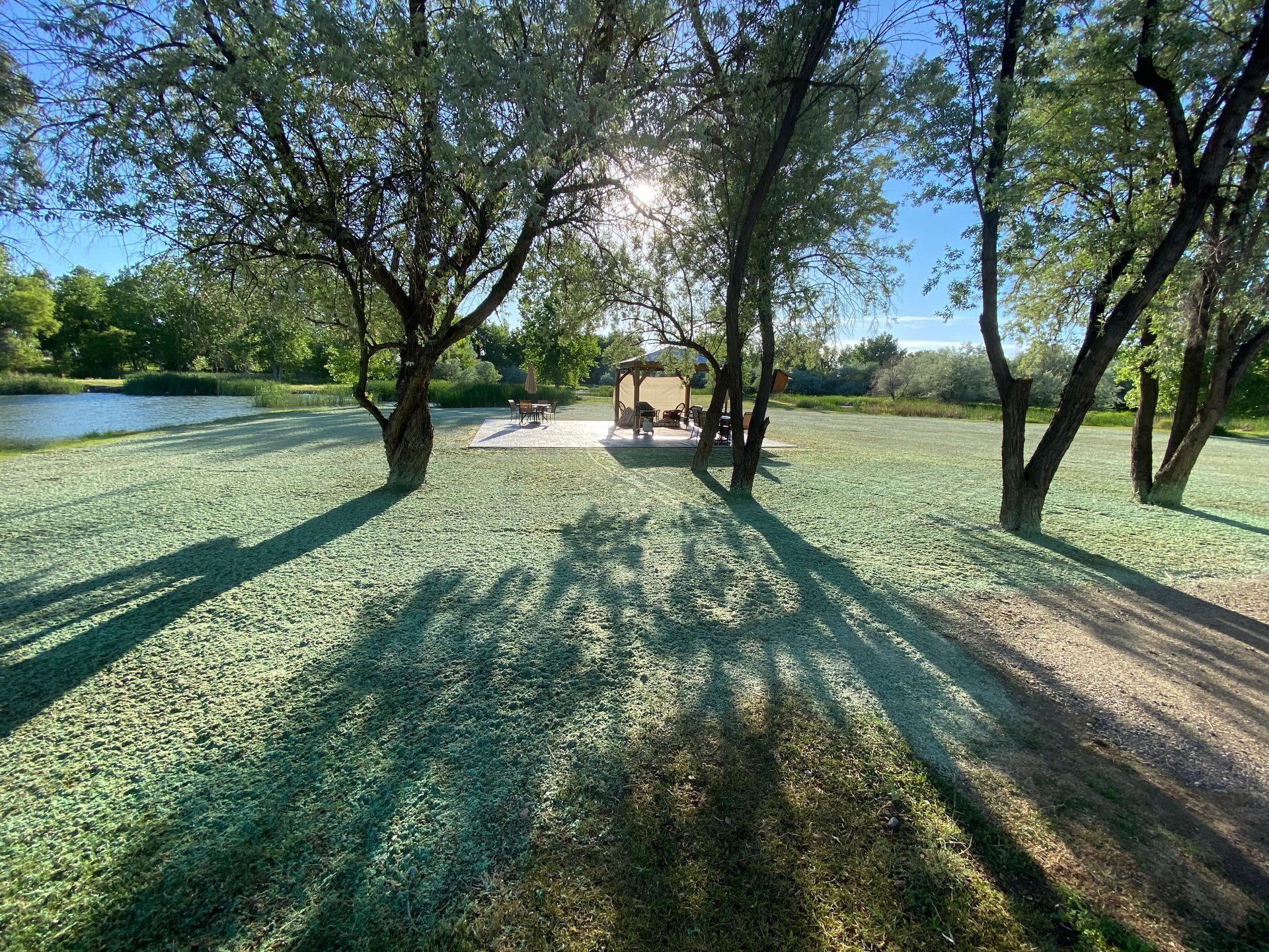 A sunlit park area with trees, a small pond, and a sheltered seating structure in the distance.