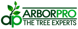 Arbor Pro Logo
