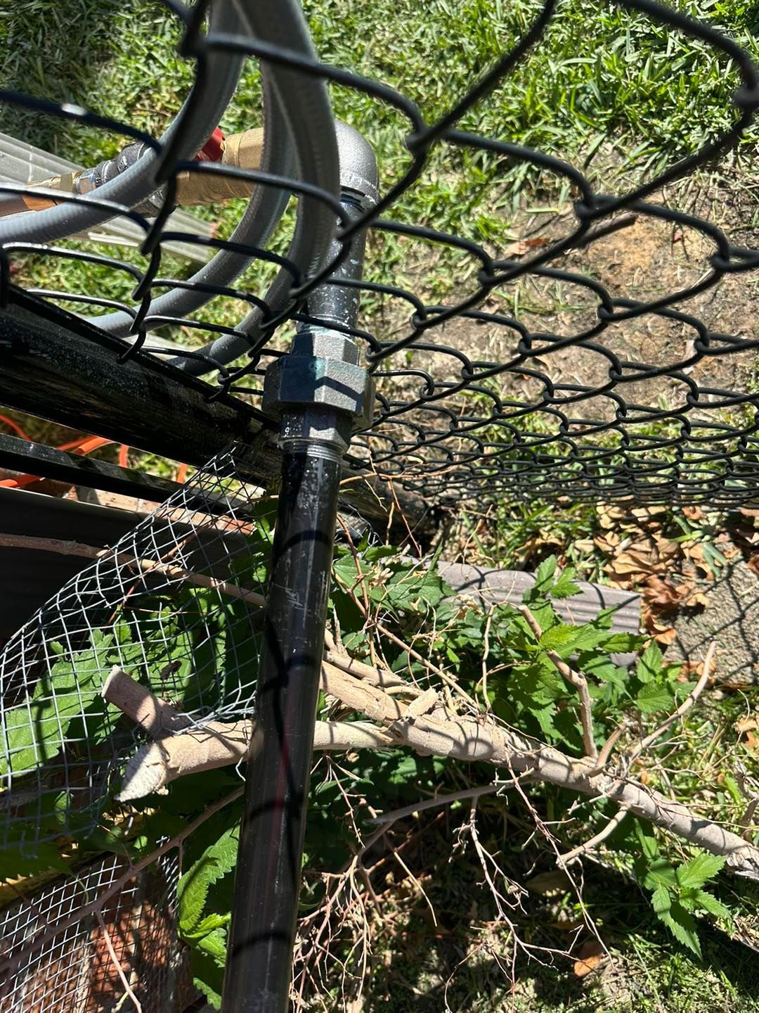 Black chain-link fencing with tangled branches and green foliage behind it