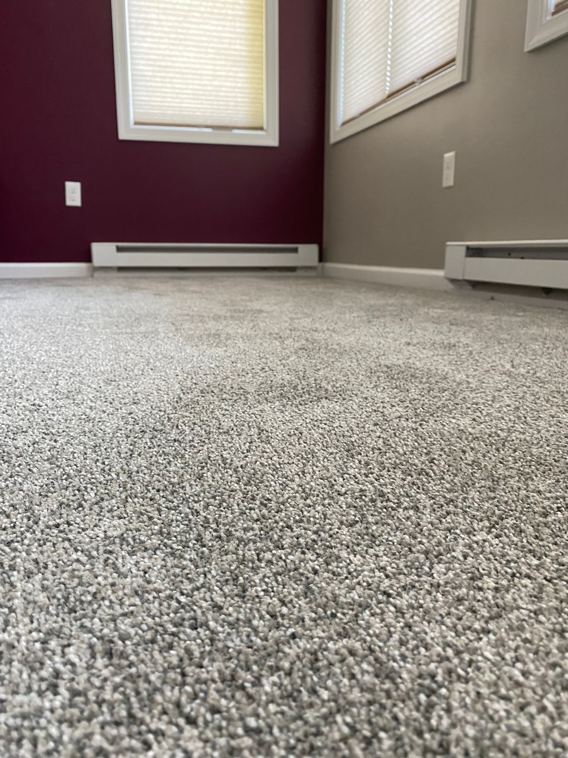 A room with a gray carpet and a red wall.
