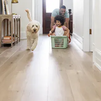 A dog and a baby playing on a wood floor.