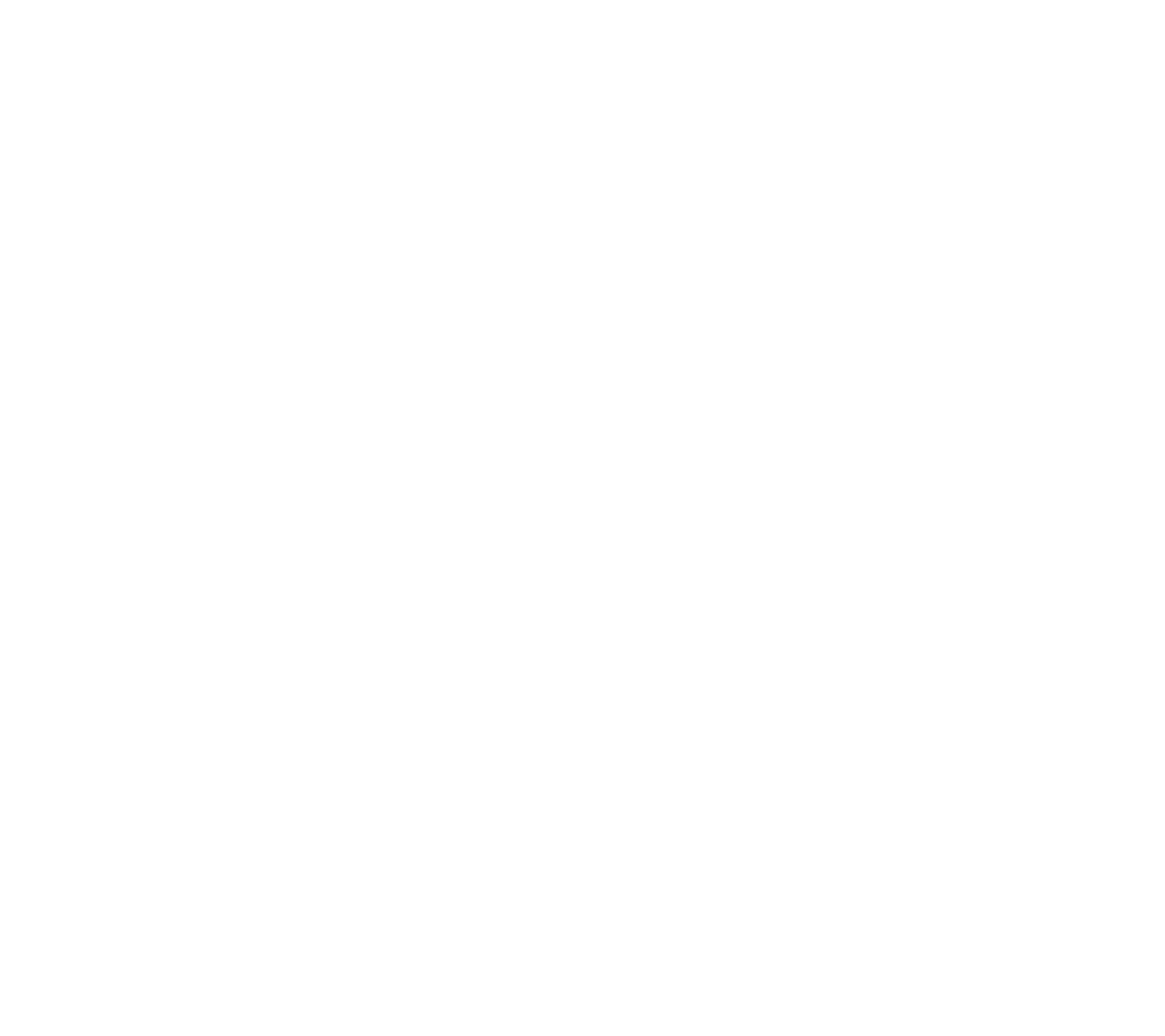 AMERICAN FLAG graphic