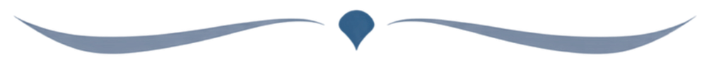 Thin gray decorative wave with a small blue heart in the center on a white background