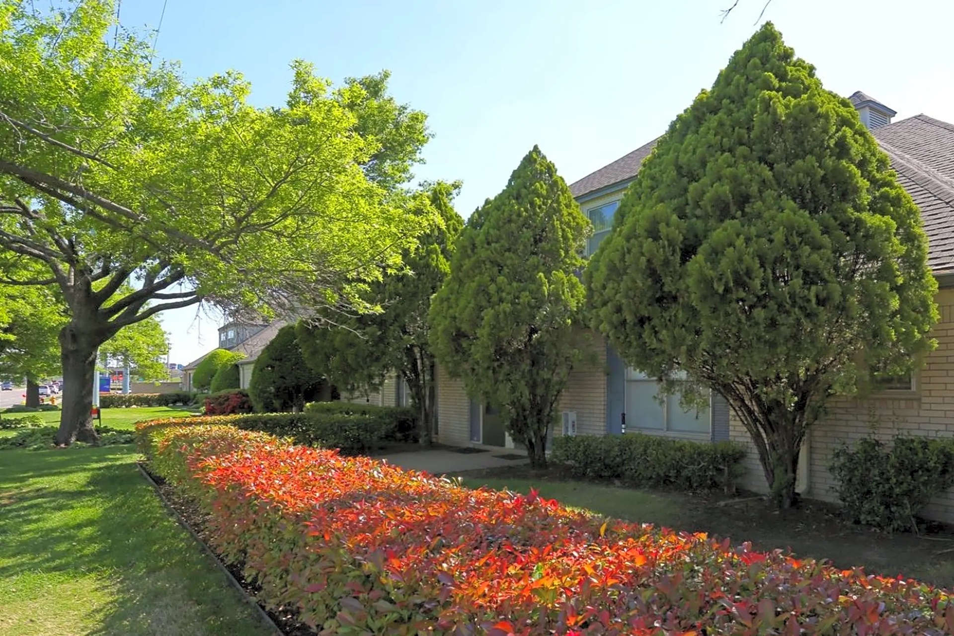 Photo of bush with trees