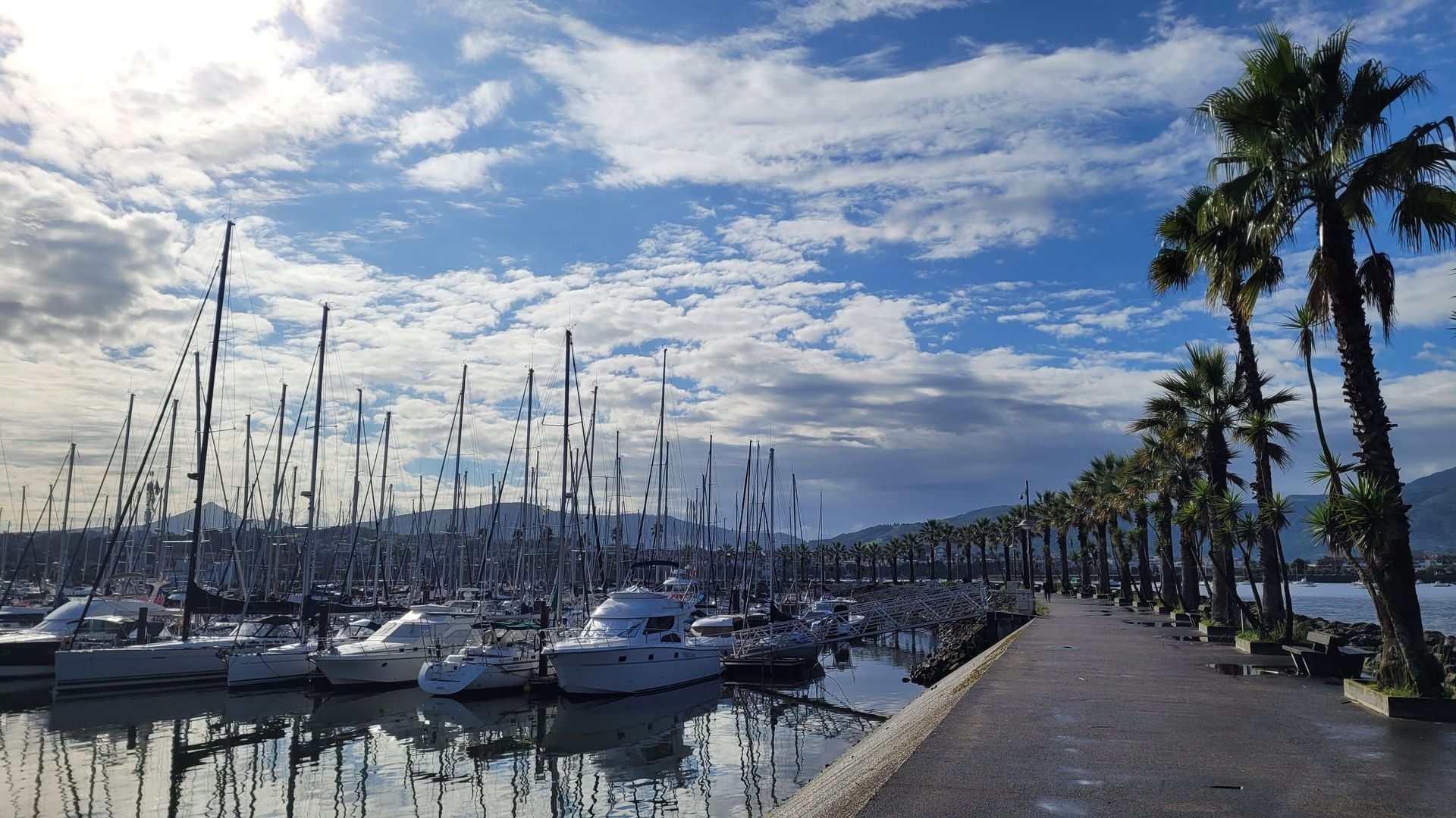 un groupe de voiliers est amarré dans un port. accastillage inox