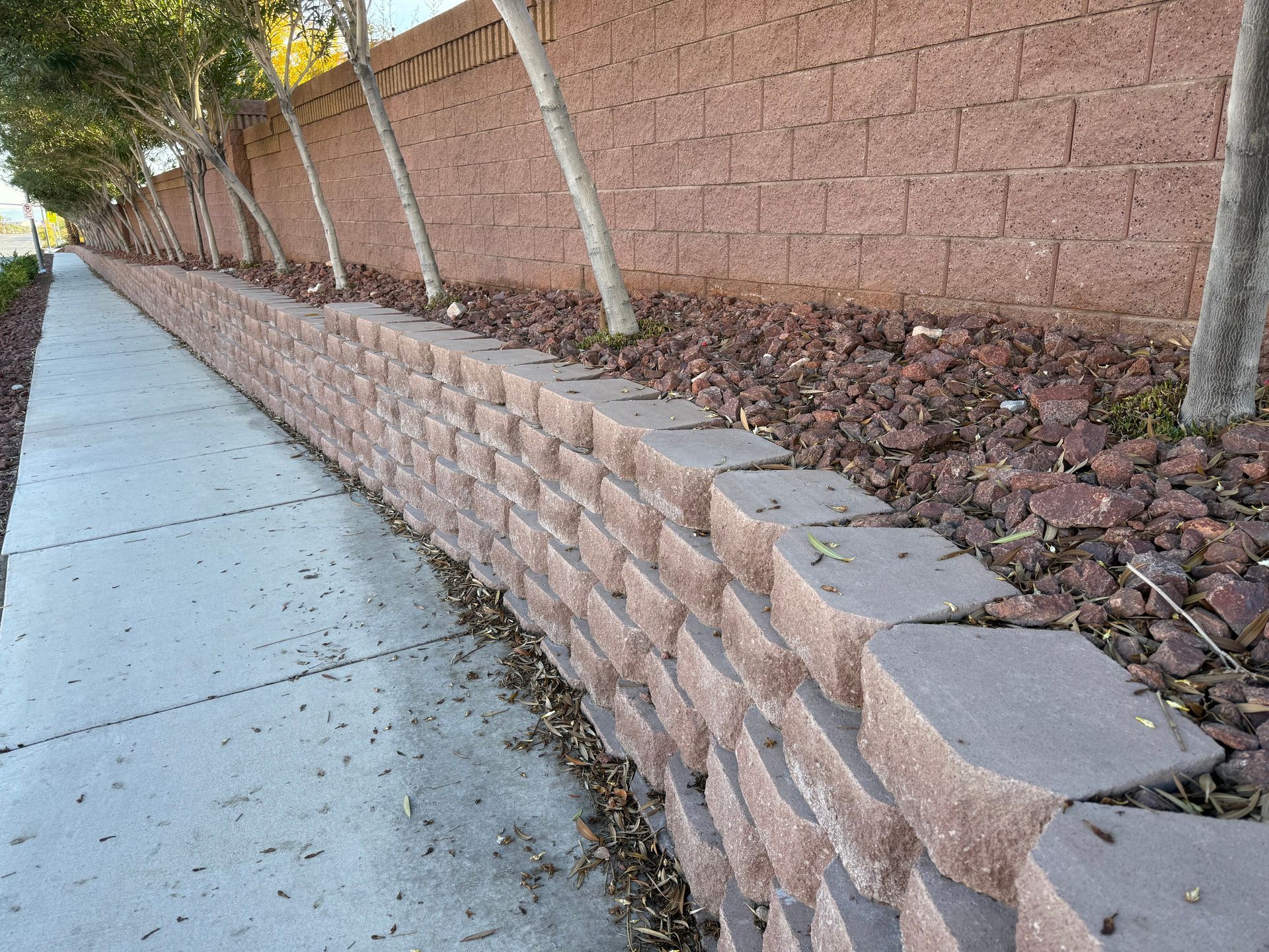 Image 03