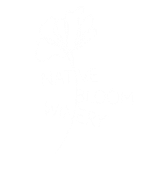 native bloom logo