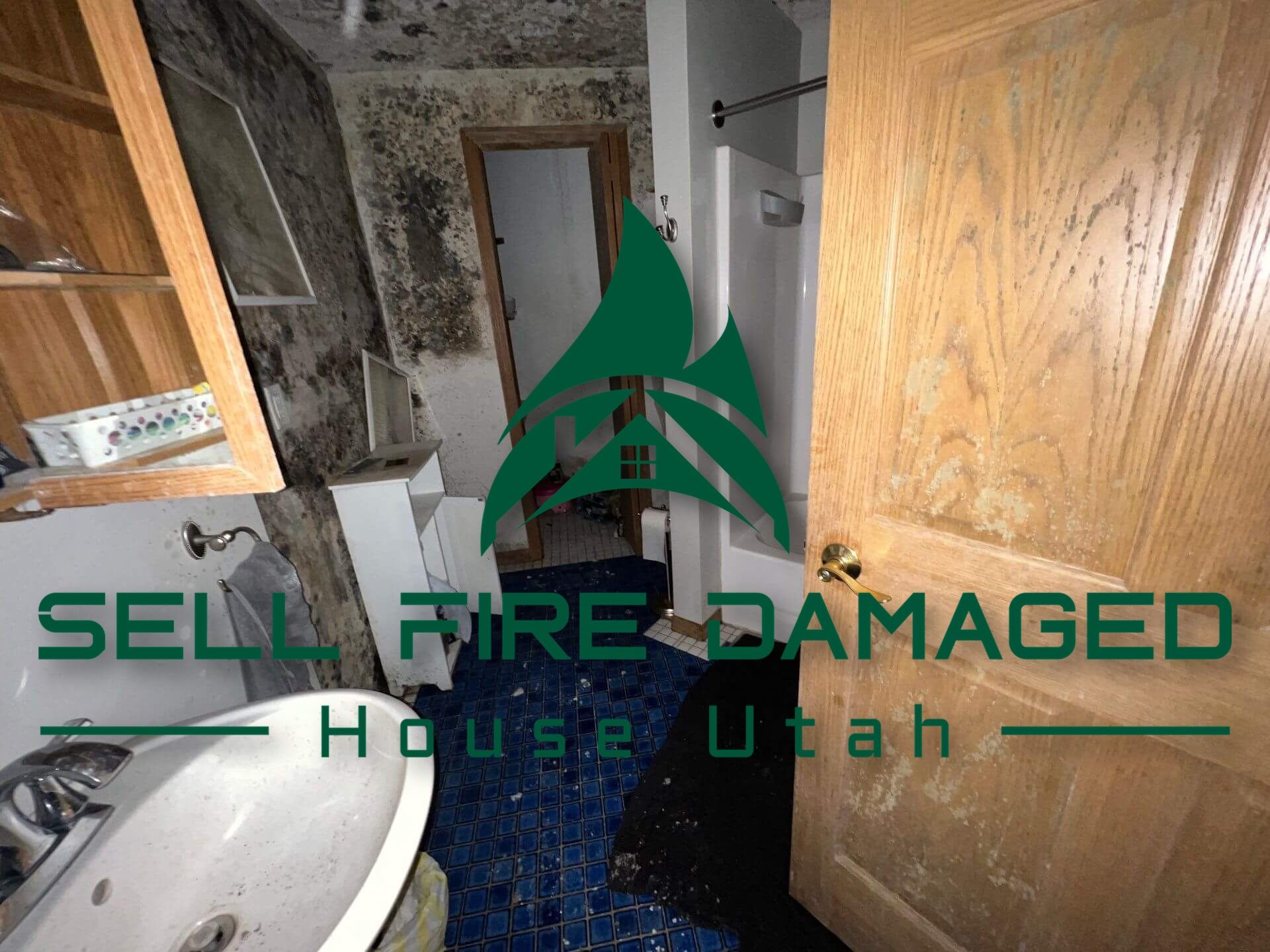 Fire Damage and Property Value In Utah: A General Analysis