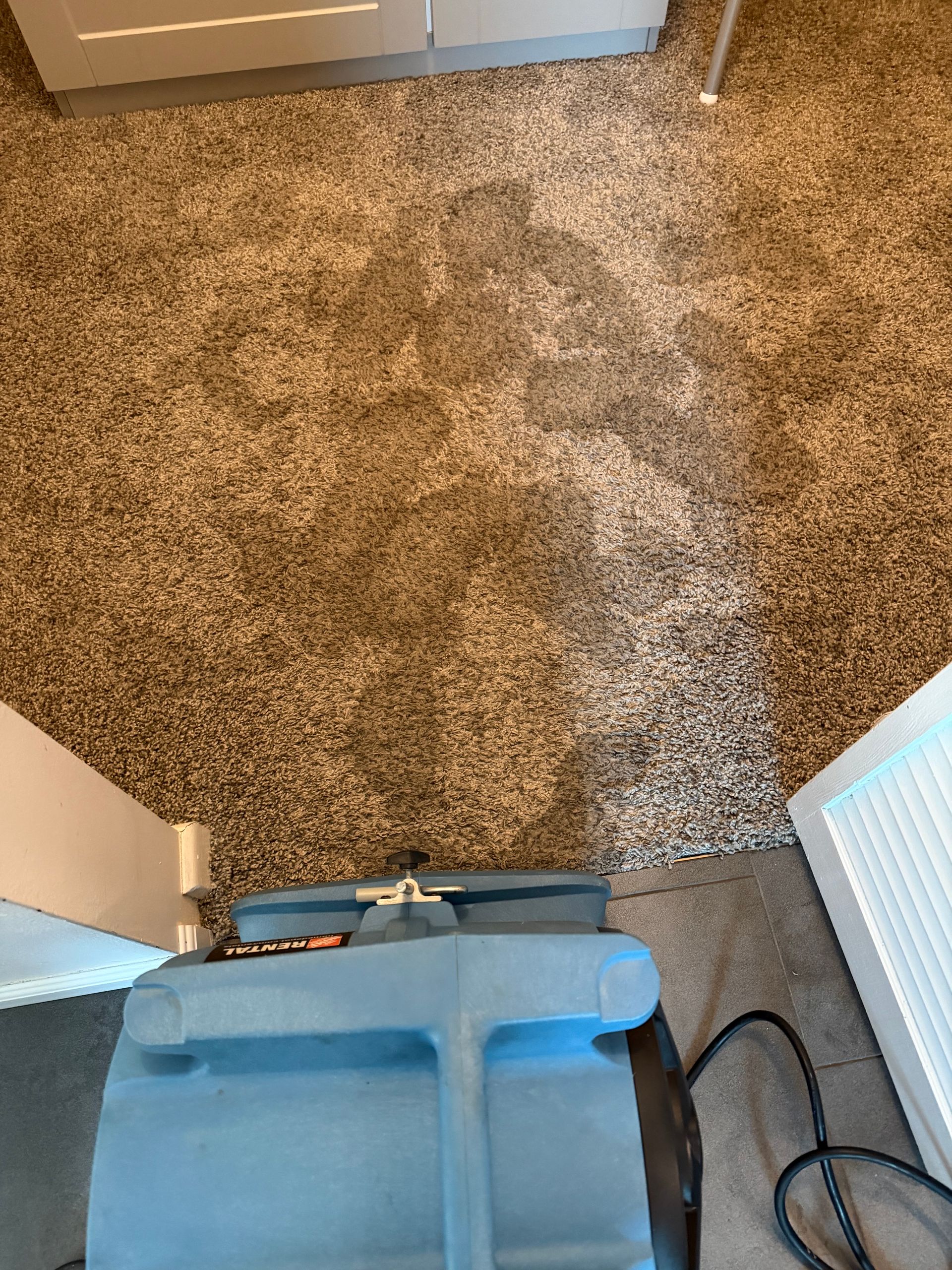 Water Heater Leaking From the Entrance? Right here's Precisely What to Do.