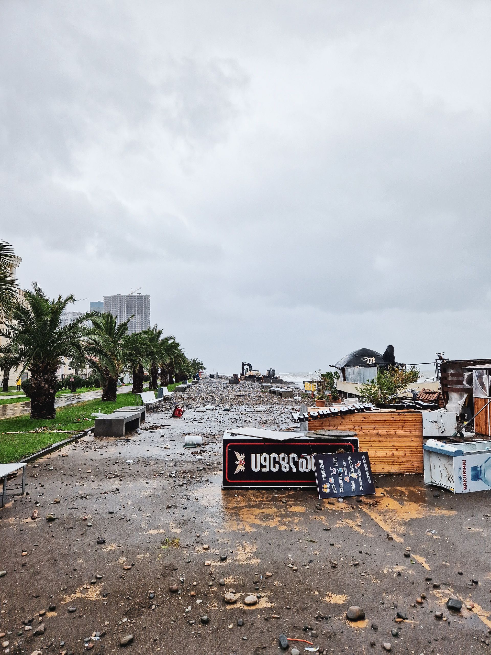 Debris-strewn road beside fallen trees and damaged structures under a cloudy sky