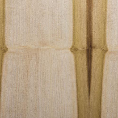 Poplar Blanco
