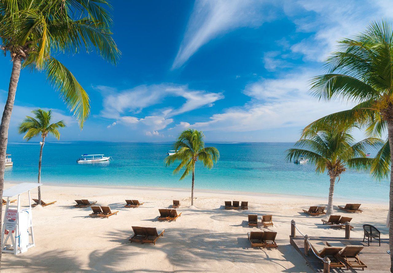 resort beach front A tropical beach with palm trees and chairs on a sunny day